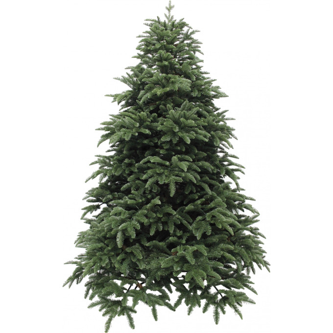 Новогодняя елка TRIUMPH TREE, Нормандия Пушистая, 215 см, заснеженная 73532