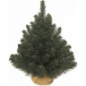Триумф ель TRIUMPH TREE, Вирджиния, 60 см, в мешочке, зеленая 72134